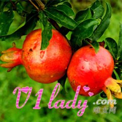 石榴如何吃营养功效能翻倍？
