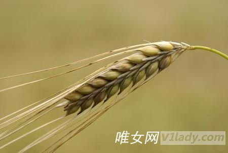 推荐九种能帮助女人睡眠的食物