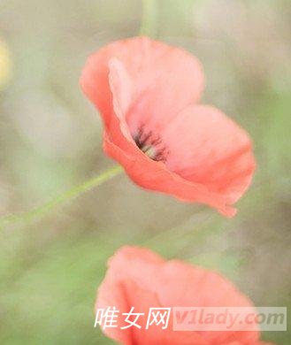 老年性低血压要怎么样防治？